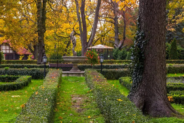 Осінні Дерева Алея Барвистим Листям Парку — стокове фото