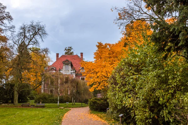 Parkta Renkli Yaprakları Olan Sonbahar Ağaçları Sokağı — Stok fotoğraf