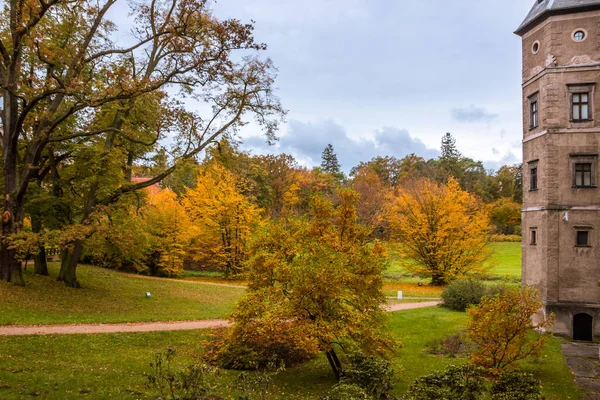Árvores Outono Beco Com Folhas Coloridas Parque — Fotografia de Stock