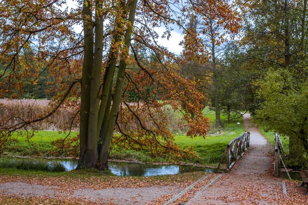 Herfst Bomen Steegje Met Kleurrijke Bladeren Het Park — Stockfoto