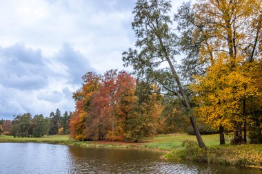 Parkta renkli yaprakları olan sonbahar ağaçları sokağı