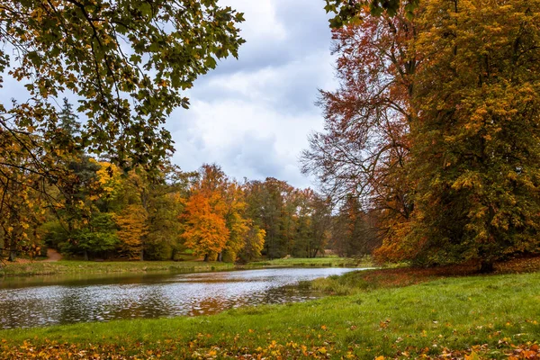 Herfst Bomen Steegje Met Kleurrijke Bladeren Het Park — Stockfoto