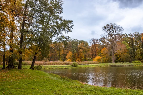 Allée Des Arbres Automne Avec Des Feuilles Colorées Dans Parc — Photo