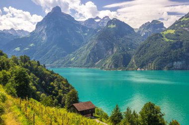 İsviçre Alpleri 'ndeki Uri Gölü' nde Sisikon 'da güneşli bir gün