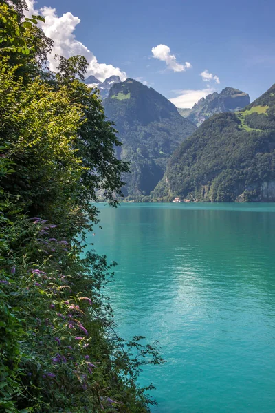 Sunny Day Sisikon Lake Uri Swiss Alps — Stock Photo, Image