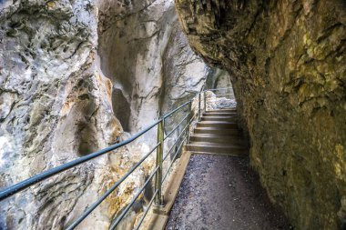 İsviçre 'deki Reichenbachtal vadisinde Rosenlaui buzulu.