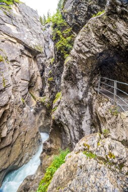 İsviçre 'deki Reichenbachtal vadisinde Rosenlaui buzulu.