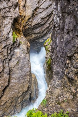 İsviçre 'deki Reichenbachtal vadisinde Rosenlaui buzulu.