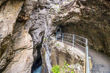 İsviçre 'deki Reichenbachtal vadisinde Rosenlaui buzulu.