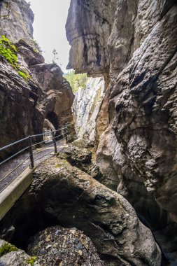 İsviçre 'deki Reichenbachtal vadisinde Rosenlaui buzulu.
