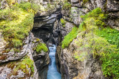 İsviçre 'deki Reichenbachtal vadisinde Rosenlaui buzulu.