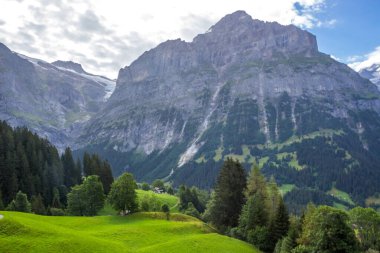 Güneşli bir günde İsviçre 'deki Grindewald Vadisi