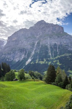 Güneşli bir günde İsviçre 'deki Grindewald Vadisi