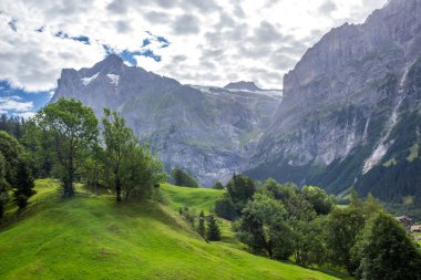 Güneşli bir günde İsviçre 'deki Grindewald Vadisi
