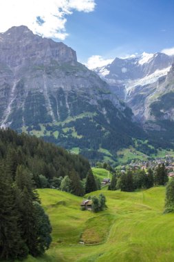 Güneşli bir günde İsviçre 'deki Grindewald Vadisi