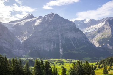 Güneşli bir günde İsviçre 'deki Grindewald Vadisi
