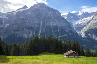 Güneşli bir günde İsviçre 'deki Grindewald Vadisi