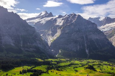 Güneşli bir günde İsviçre 'deki Grindewald Vadisi