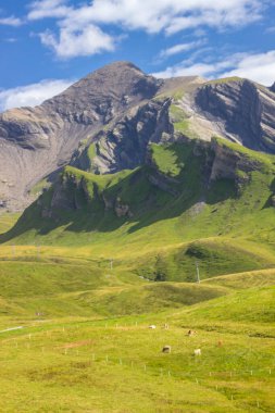 Güneşli bir günde İsviçre 'deki Grindewald Vadisi