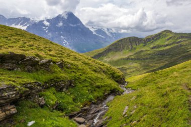 Grindewald Vadisi ve İsviçre 'deki dağ otlakları 