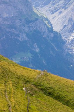 Grindewald Vadisi ve İsviçre 'deki dağ otlakları 