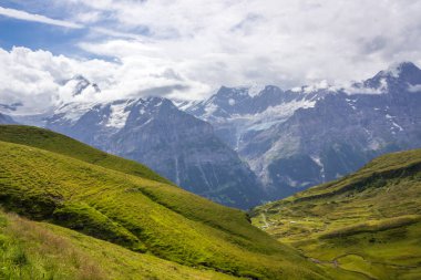 Grindewald Vadisi ve İsviçre 'deki dağ otlakları 