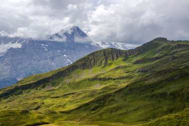 Grindewald Vadisi ve İsviçre 'deki dağ otlakları 