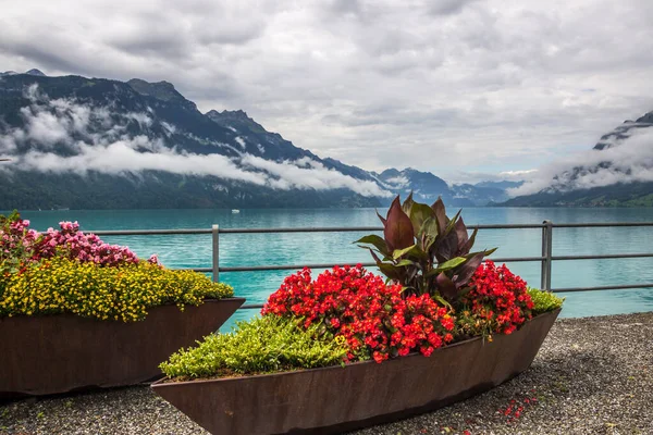 Brienzer Lake Berner Oberland Switzerland — Stock Photo, Image