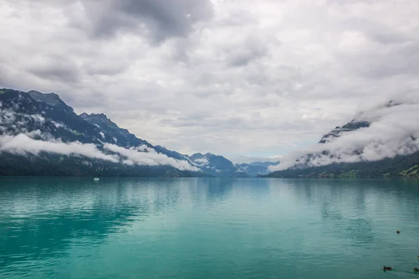 Lago Brienzer Berner Oberland Suiza —  Fotos de Stock