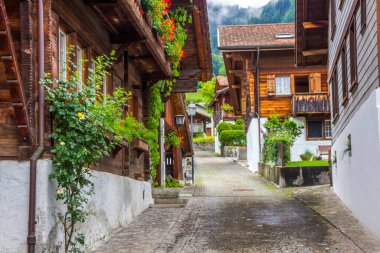 Brienz 'de eski bir kasaba, İsviçre' de Brienzer Gölü üzerinde.