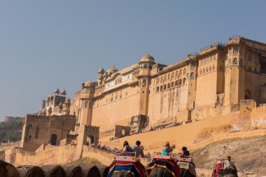 Majestic Amber Fort clipart