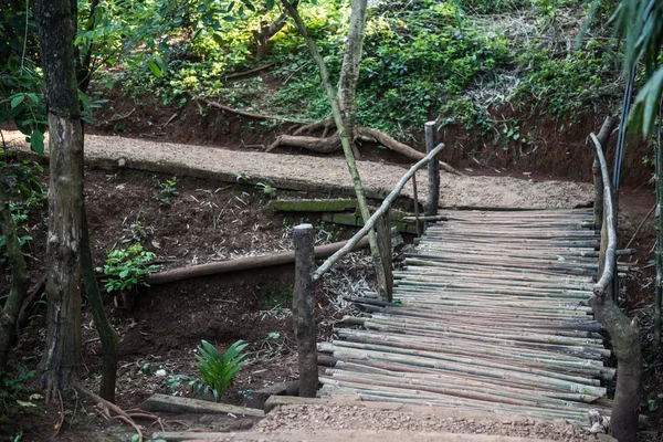 Alte Fußgängerbrücke im Wald — Stockfoto