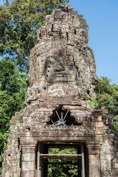 Ta Prohm Tapınakları — Stok fotoğraf