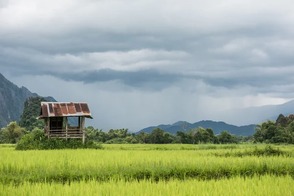 Oude hut in het veld — Stockfoto