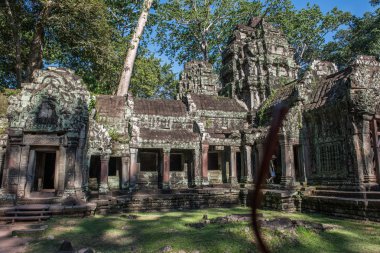 Kamboçya'da ta Prohm tapınaklar