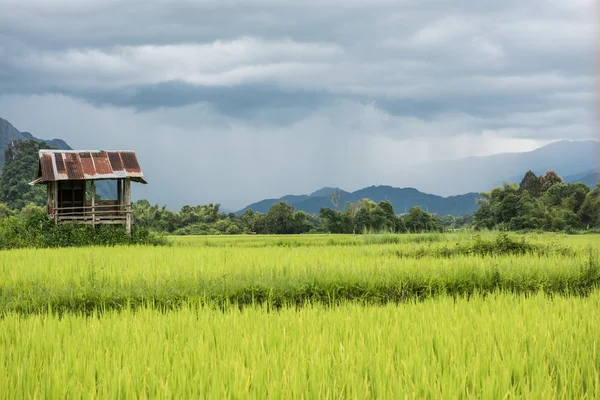 Cabaña abandonada en Vietnam —  Fotos de Stock
