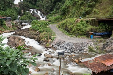 Kerala tepelik şelale