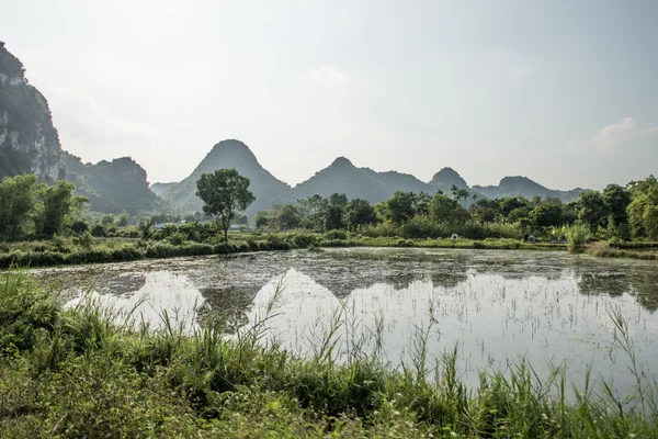 Kalksten Karst intervall Stockbild