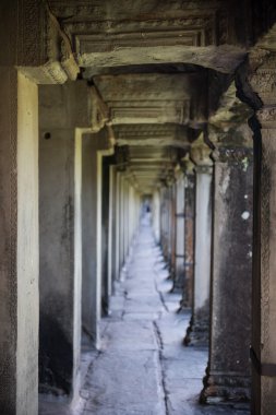 Antik Mimarlık Angkor Wat