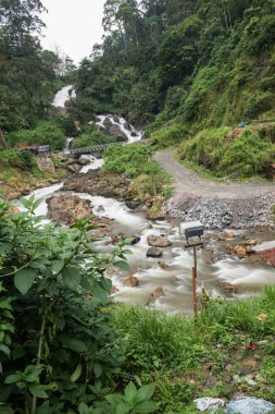 Kerala kayalık şelale