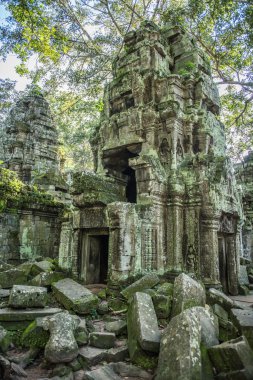 Ta Prohm Harabeleri