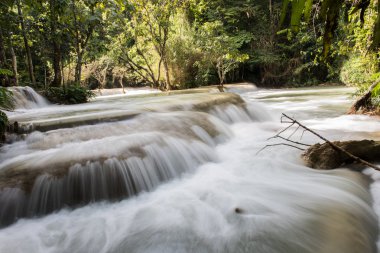 Kouang XI sonbahar görünümü