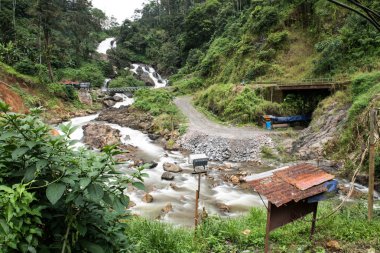 Kerala büyüleyici şelale