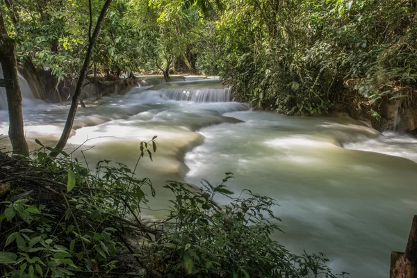 Ater tekoucí přes Les — Stock fotografie