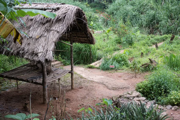 Cultivation in Spice Garden — Stock Photo, Image