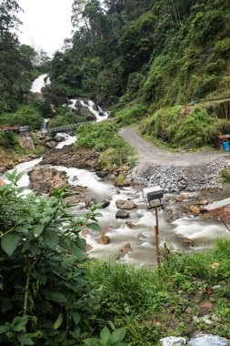 Ormanın içinden akan su