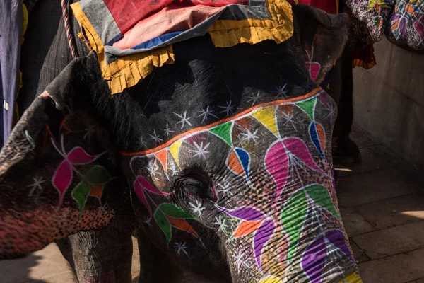 Ingerichte olifant in Jaipur — Stockfoto