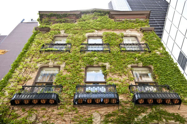 Residencia Antigua en Chicago — Foto de Stock