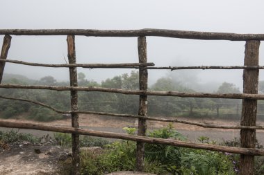 Nilgiri Hills in Kochi