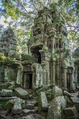 Ankor Ta Prohm tapınağı